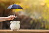 An umbrella is held above a piggy bank